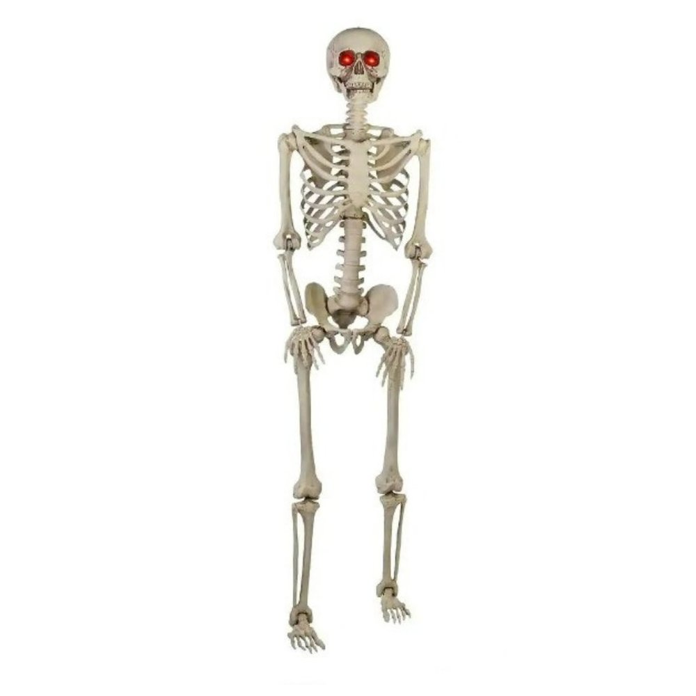 5FT POSE-N-STAY LIFE SIZE SKELETON - HALLOWEEN SKELETON - Eyes Light Red ** NEW